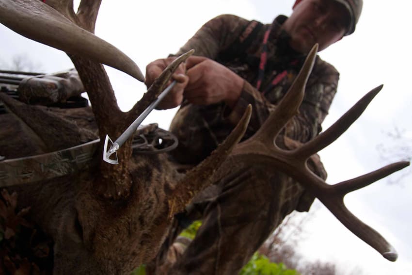 Best Broadheads for Deer