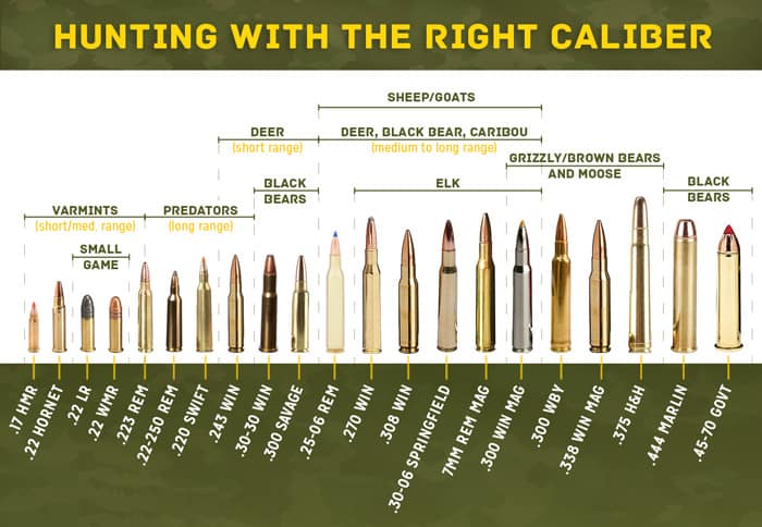 Image result for The Quarter Inch Rifle Calibers